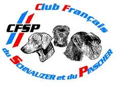 cfsp